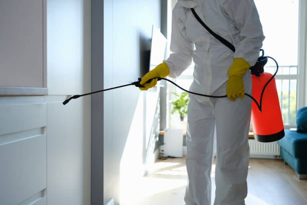 Best Industrial Mold Remediation in Lagunitas Forest Knolls, CA